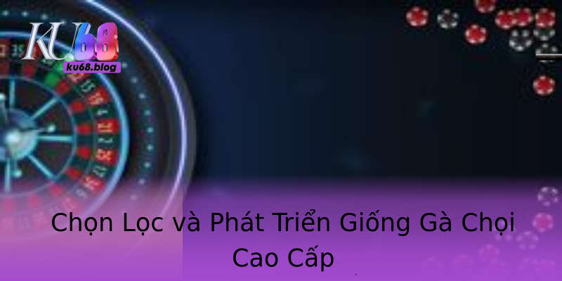 Chọn Lọc và Phát Triển Giống Gà Chọi Cao Cấp Chọn Lọc và Phát Triển Giống Gà Chọi Cao Cấp