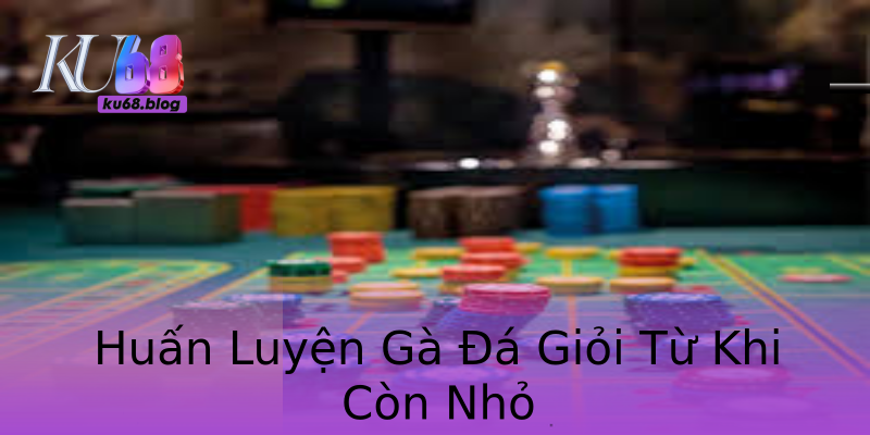 Huấn Luyện Gà Đá Giỏi Từ Khi Còn Nhỏ Huấn Luyện Gà Đá Giỏi Từ Khi Còn Nhỏ