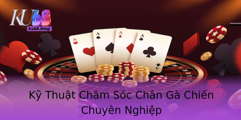 Kỹ Thuật Chăm Sóc Chân Gà Chiến Chuyên Nghiệp Kỹ Thuật Chăm Sóc Chân Gà Chiến Chuyên Nghiệp