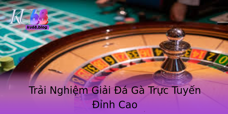 Trải Nghiệm Giải Đá Gà Trực Tuyến Đỉnh Cao